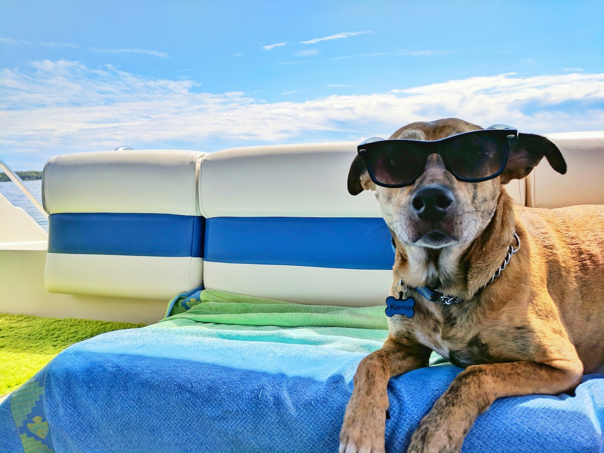Dog Friendly Punta Gorda Vacation